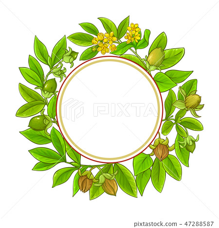jojoba vector frame 47288587