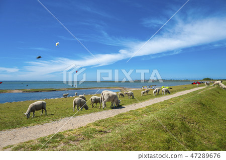 Fhe flood embankment in Lemkenhafen 47289676