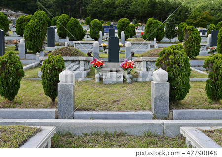 Visiting the cemetery on a holiday Visiting the cemetery on a holiday 47290048