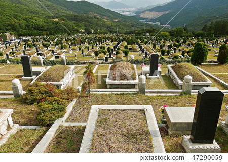 Visiting the cemetery on a holiday Visiting the cemetery on a holiday 47290059