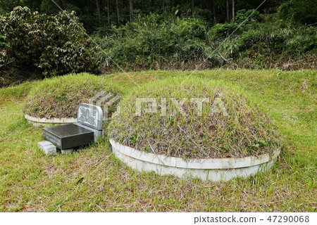 Visiting the cemetery on a holiday 47290068