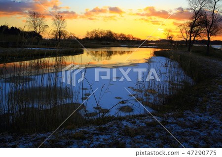 伊豆沼的黎明 伊豆沼的黎明 47290775