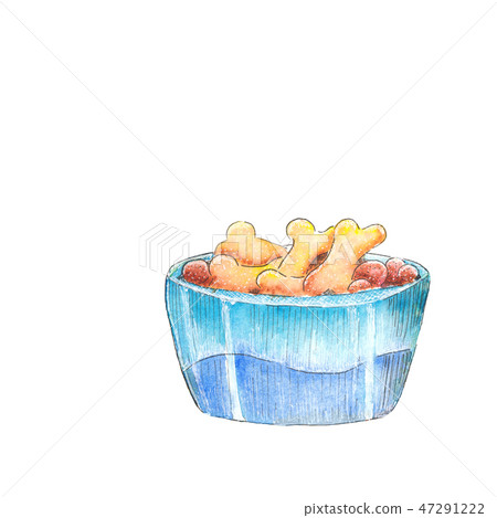 Dog bowl. Watercolor sketch. Dog bowl. Watercolor sketch. 47291222
