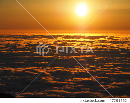 金黃雲海，日出 47291362