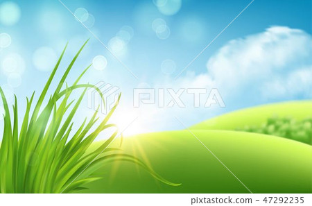 Frash Spring green grass background. Vector illustration Frash Spring green grass background. Vector illustration 47292235