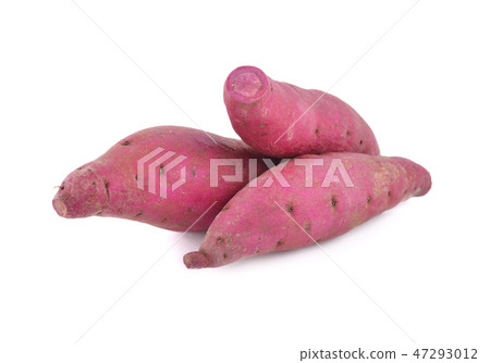 whole fresh Japanese sweet potatoes on white whole fresh Japanese sweet potatoes on white 47293012