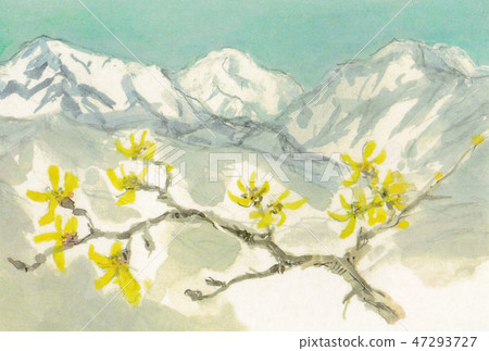 Echigo Miyama和Mansaku Flower Echigo Miyama和Mansaku Flower 47293727
