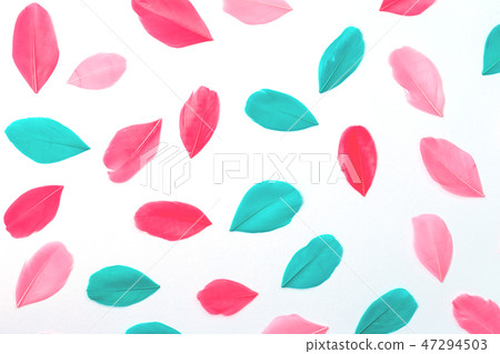 Fucsia turquoise feathers isolated on white background Fucsia turquoise feathers isolated on white background 47294503