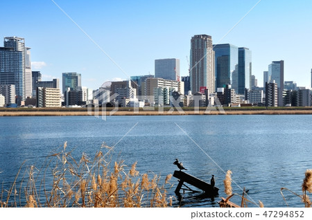 河景和城市景觀 河景和城市景觀 47294852