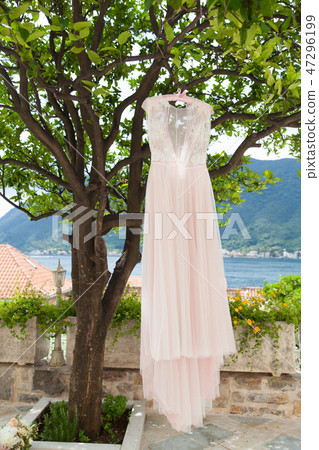 pink wedding dress on hangers on a tree outdoors 47296199