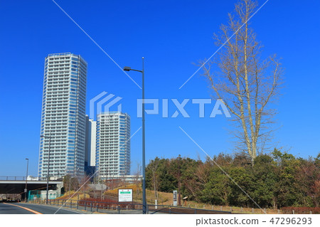 [東京]在晴朗的天氣下，二子玉川塔大廈 47296293