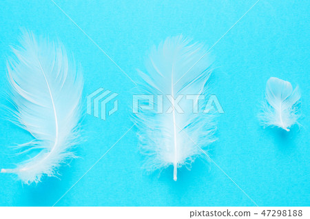 White feathers.. Tenderness, softness. 47298188