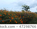 Cosmos 47298766