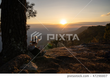 Woman sitting under pine tree reading book 47298807