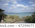 海 47299075