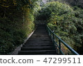 stairs 47299511