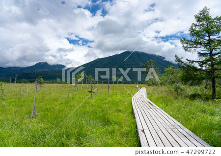 日光市,栃木縣Senjogahara和Mt. Man(八月) 日光市,栃木縣Senjogahara和Mt. Man(八月) 47299722