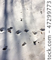 footprint 47299773