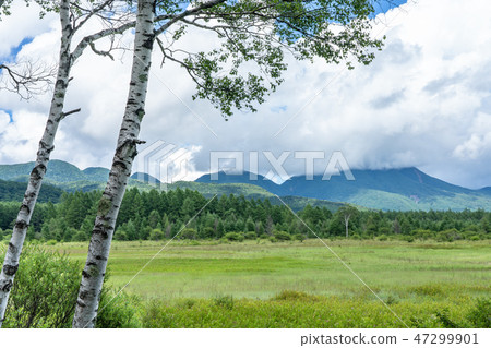 Takahiro Odashihara Takahito Okuhiko, Nikko, Tochigi prefecture (August) Takahiro Odashihara Takahito Okuhiko, Nikko, Tochigi prefecture (August) 47299901