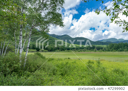 日光市栃木縣Okuhiko Odashihara（八月） 47299902