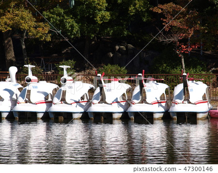 Pond pedal boat Higashiyama Zoo 47300146