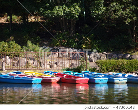 Rowing boat in the pond 47300148
