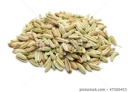 Dried fennel seeds on white background 47300453
