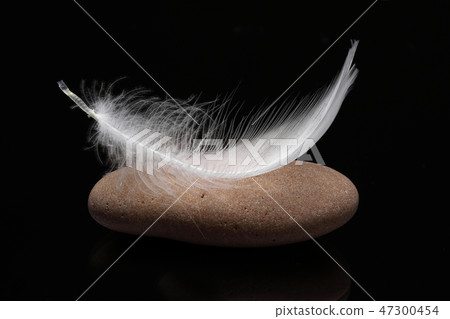 White feather on stone and black 47300454