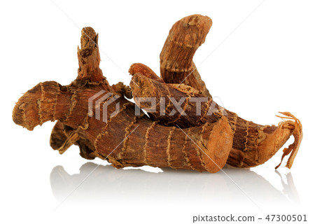 Dry Galangal root on white background 47300501