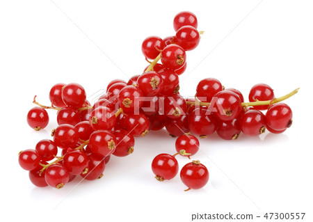 Bunch of Red Currant on white background Bunch of Red Currant on white background 47300557