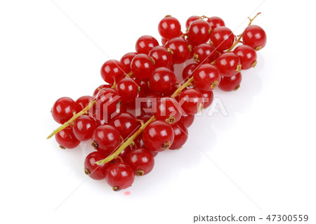 Bunch of Red Currant on white background 47300559
