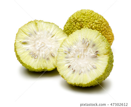 Sliced osage oranges or Maclura Sliced osage oranges or Maclura 47302612