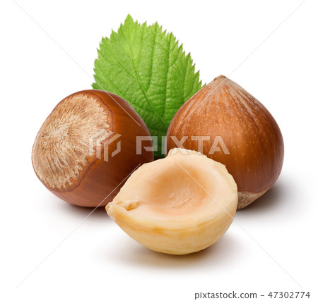 Hazelnuts and leaf on white background Hazelnuts and leaf on white background 47302774