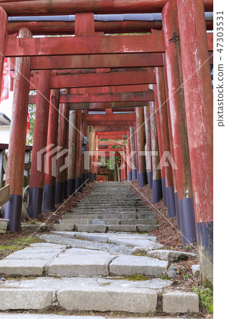 Wakayama Prefecture, Mt. Takano, Kiyotaka Inari Shrine, Torii 47303531