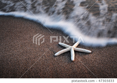 Amazing Mediterranean seascape with golden sand 47303833