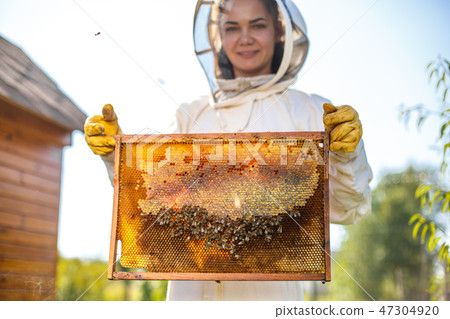 Young female beekeeper hold wooden frame with Young female beekeeper hold wooden frame with 47304920