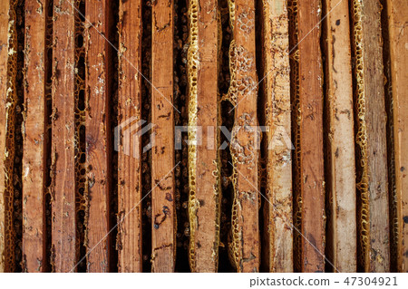 Open beehive with bees are crawling along the hive Open beehive with bees are crawling along the hive 47304921