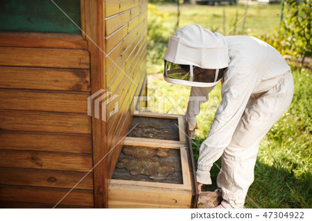 Beekeeper in suit is working at apiary. Opening Beekeeper in suit is working at apiary. Opening 47304922