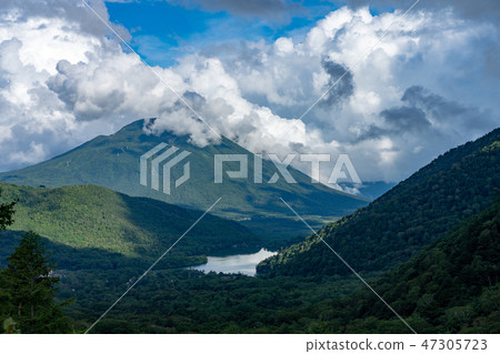 栃木縣日光市Mt. Mantai Lake Yunoko Senjogahara（八月） 47305723