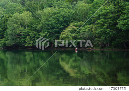 Nikko Tochigi Prefecture Lake Yuno Fishing (August) 47305755