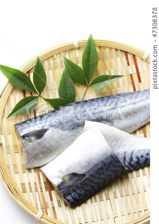 鹽漬鯖魚10 47306378