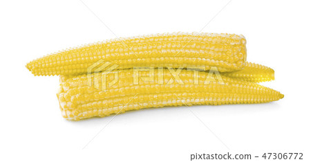 Baby corn isolated on white background 47306772