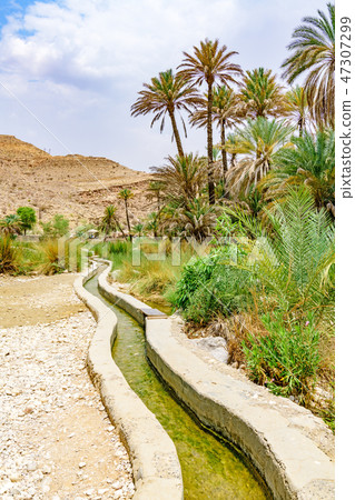 Wadi Bani Carillo(阿曼) Wadi Bani Carillo(阿曼) 47307299