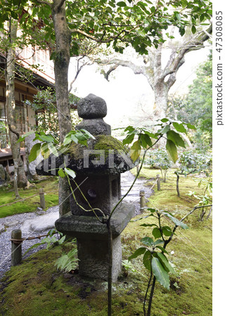 No-Scenic Ikeizumi Walkable Garden 47308085