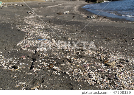 Garbage debris thrown up on the beach 47308329