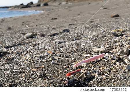 Garbage debris thrown up on the beach 47308332