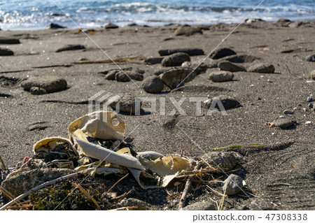 Garbage washed away on a sandy beach Garbage washed away on a sandy beach 47308338