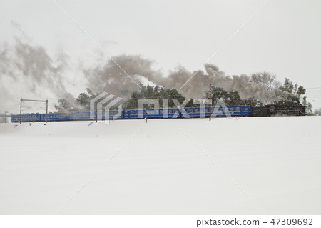 冬季SL北琵琶湖號列車行駛在白雪皚皚的景色中（滋賀縣） 47309692