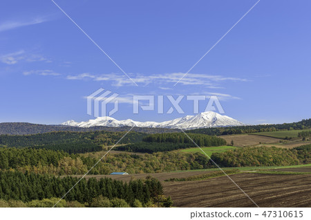 Asahigake Initial fall 47310615