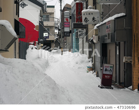 Otaru flower garden at night in Winter Otaru flower garden at night in Winter 47310696